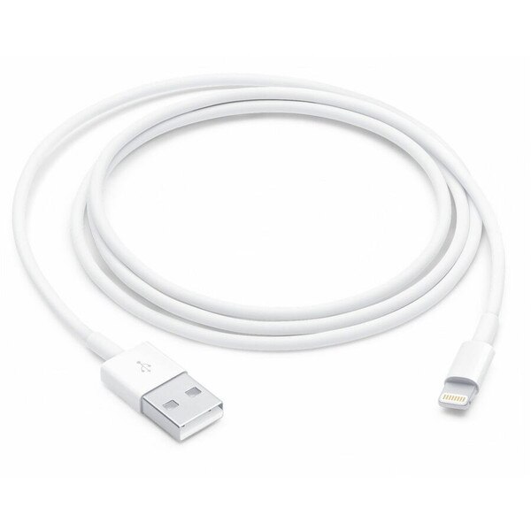 Apple Lightning to USB Cable 1m